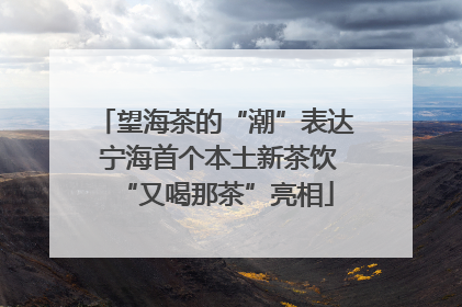 望海茶的“潮”表达 宁海首个本土新茶饮“又喝那茶”亮相