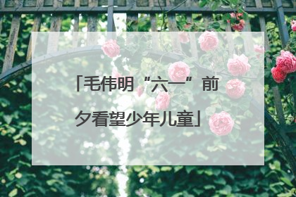 毛伟明“六一”前夕看望少年儿童