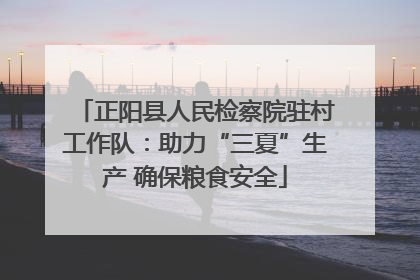 正阳县人民检察院驻村工作队：助力“三夏”生产 确保粮食安全