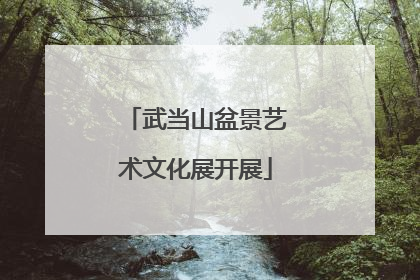 武当山盆景艺术文化展开展