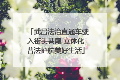 武昌法治直通车驶入街头巷尾 立体化普法护航美好生活
