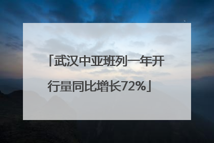 武汉中亚班列一年开行量同比增长72%