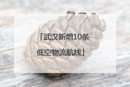 武汉新增10条低空物流航线