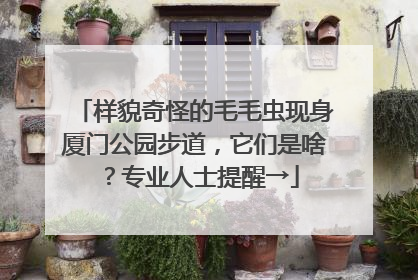 样貌奇怪的毛毛虫现身厦门公园步道，它们是啥？专业人士提醒→