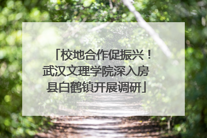 校地合作促振兴！武汉文理学院深入房县白鹤镇开展调研