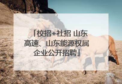 校招+社招 山东高速、山东能源权属企业公开招聘