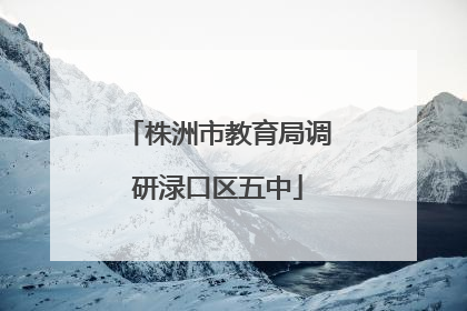 株洲市教育局调研渌口区五中
