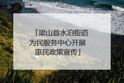 梁山县水泊街道为民服务中心开展惠民政策宣传