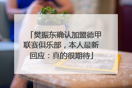 樊振东确认加盟德甲联赛俱乐部，本人最新回应：真的很期待