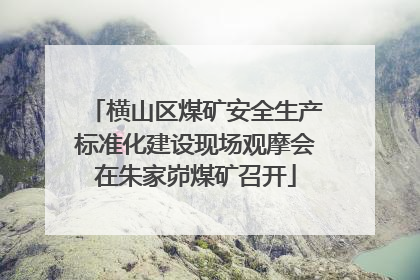 横山区煤矿安全生产标准化建设现场观摩会在朱家峁煤矿召开