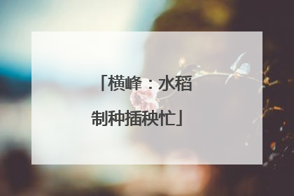 横峰：水稻制种插秧忙