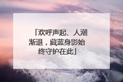 欢呼声起、人潮渐退，藏蓝身影始终守护在此