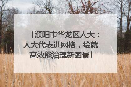 濮阳市华龙区人大：人大代表进网格，绘就高效能治理新图景