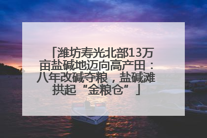 潍坊寿光北部13万亩盐碱地迈向高产田：八年改碱夺粮，盐碱滩拱起“金粮仓”