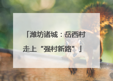 潍坊诸城：岳西村走上“强村新路”