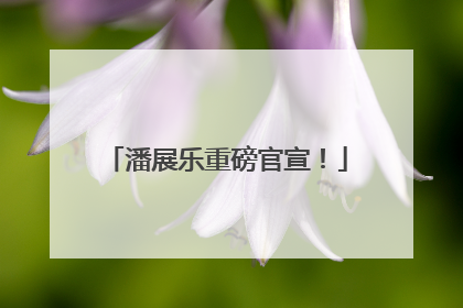 潘展乐重磅官宣！