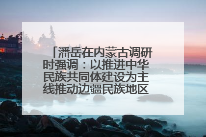 潘岳在内蒙古调研时强调：以推进中华民族共同体建设为主线推动边疆民族地区高质量发展