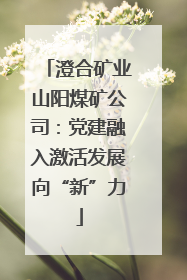 澄合矿业山阳煤矿公司：党建融入激活发展向“新”力