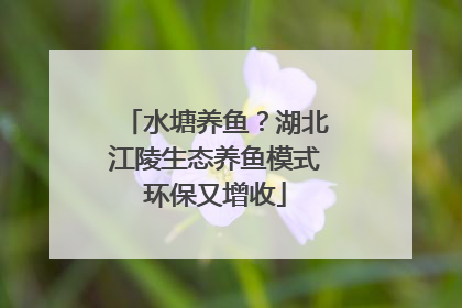 水塘养鱼？湖北江陵生态养鱼模式环保又增收