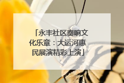 永丰社区奏响文化乐章：大运河惠民展演精彩上演