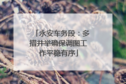 永安车务段：多措并举确保调图工作平稳有序