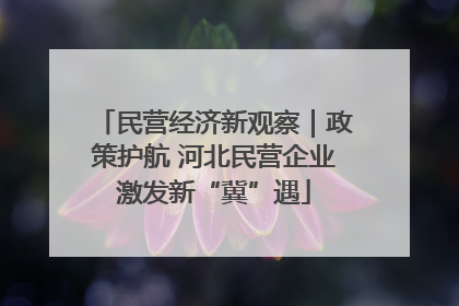 民营经济新观察｜政策护航 河北民营企业激发新“冀”遇