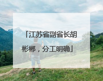 江苏省副省长胡彬郴，分工明确