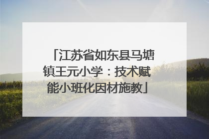 江苏省如东县马塘镇王元小学：技术赋能小班化因材施教