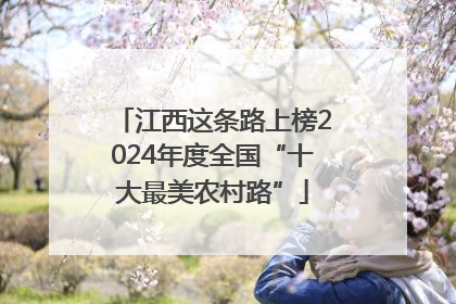 江西这条路上榜2024年度全国“十大最美农村路”