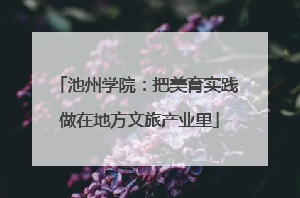 池州学院：把美育实践做在地方文旅产业里