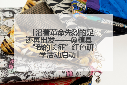 沿着革命先烈的足迹再出发——桑植县“我的长征”红色研学活动启动