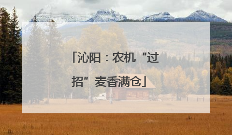 沁阳：农机“过招”麦香满仓