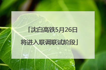 沈白高铁5月26日将进入联调联试阶段