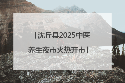 沈丘县2025中医养生夜市火热开市
