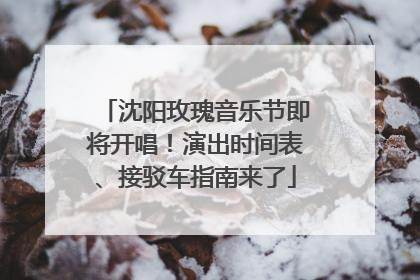 沈阳玫瑰音乐节即将开唱！演出时间表、接驳车指南来了
