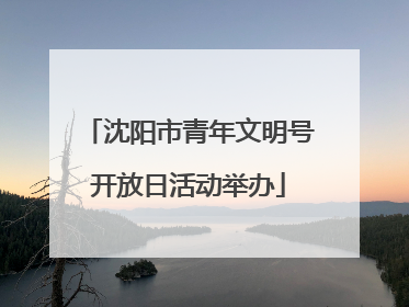 沈阳市青年文明号开放日活动举办