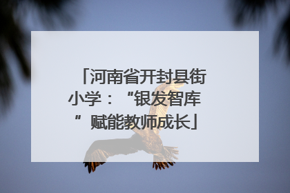 河南省开封县街小学：“银发智库”赋能教师成长