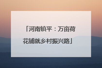 河南镇平：万亩荷花铺就乡村振兴路