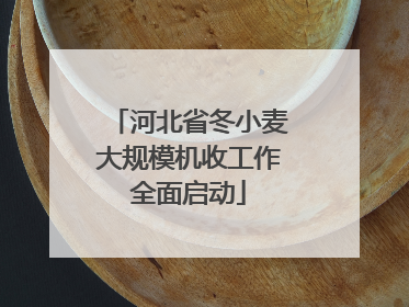河北省冬小麦大规模机收工作全面启动