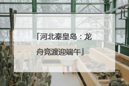河北秦皇岛：龙舟竞渡迎端午