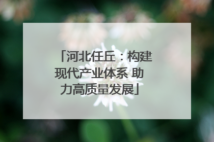 河北任丘：构建现代产业体系 助力高质量发展