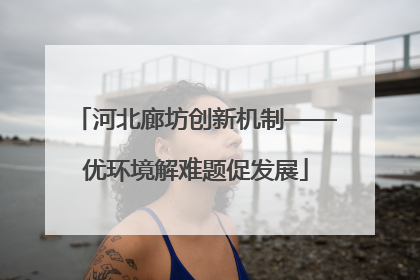 河北廊坊创新机制——优环境解难题促发展