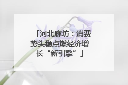河北廊坊：消费势头稳点燃经济增长“新引擎”