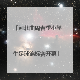 河北曲周春季小学生足球锦标赛开幕