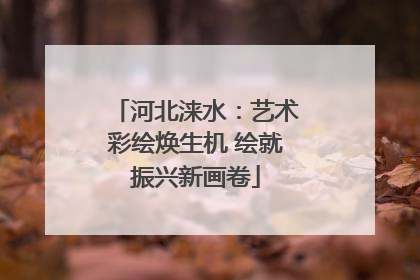 河北涞水：艺术彩绘焕生机 绘就振兴新画卷