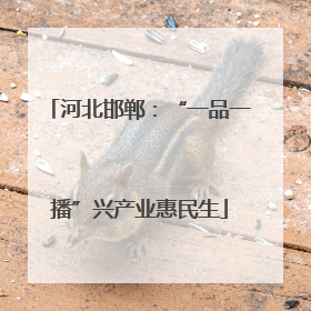 河北邯郸：“一品一播”兴产业惠民生