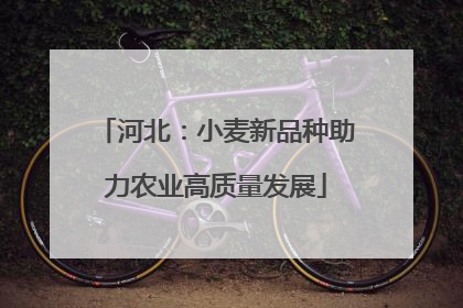河北：小麦新品种助力农业高质量发展