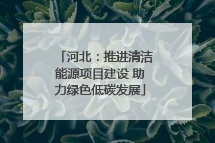 河北：推进清洁能源项目建设 助力绿色低碳发展