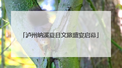 泸州纳溪夏日文旅盛宴启幕