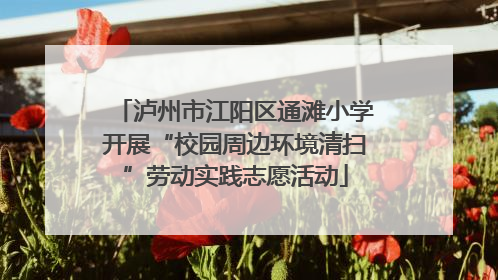 泸州市江阳区通滩小学开展“校园周边环境清扫”劳动实践志愿活动